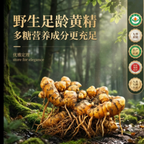 AI 人才培训课堂